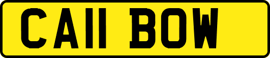 CA11BOW