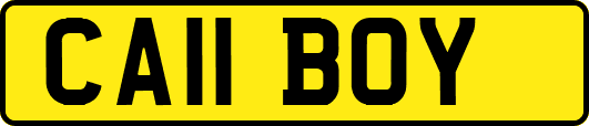 CA11BOY