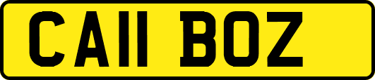 CA11BOZ