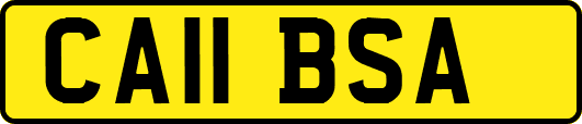 CA11BSA