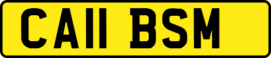 CA11BSM