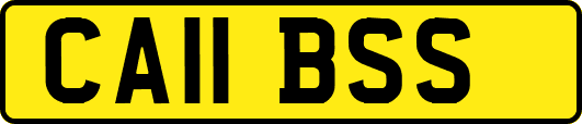 CA11BSS