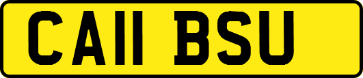 CA11BSU