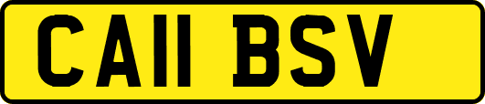 CA11BSV