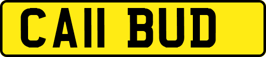 CA11BUD