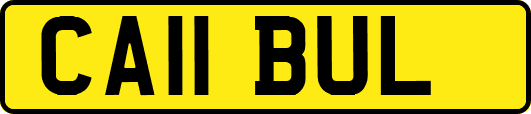 CA11BUL