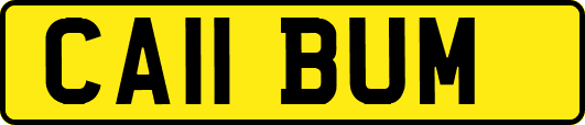 CA11BUM