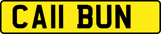 CA11BUN