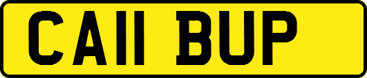 CA11BUP