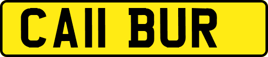 CA11BUR
