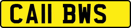 CA11BWS