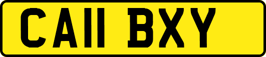 CA11BXY