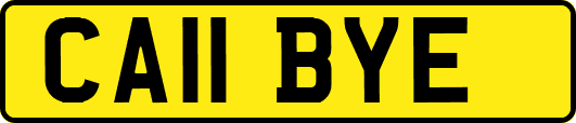 CA11BYE