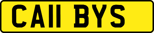 CA11BYS