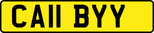 CA11BYY
