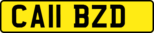 CA11BZD