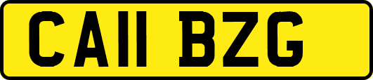 CA11BZG