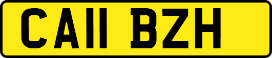 CA11BZH