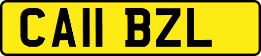 CA11BZL