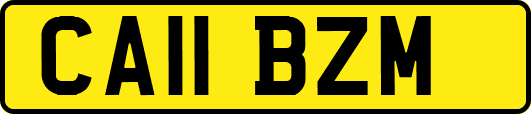 CA11BZM