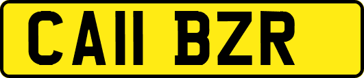 CA11BZR