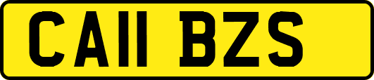 CA11BZS