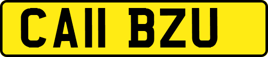 CA11BZU
