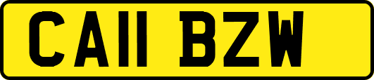 CA11BZW