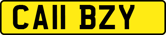 CA11BZY