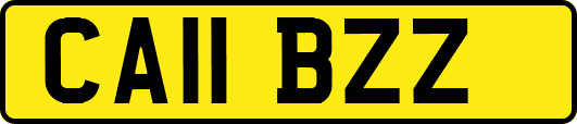 CA11BZZ