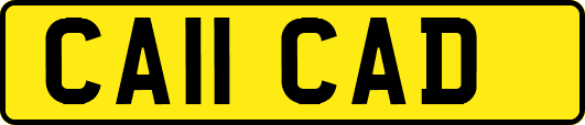 CA11CAD