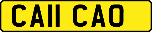 CA11CAO