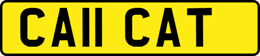 CA11CAT