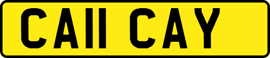 CA11CAY