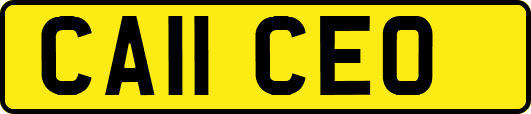 CA11CEO
