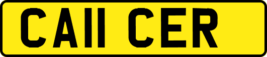 CA11CER