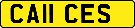 CA11CES