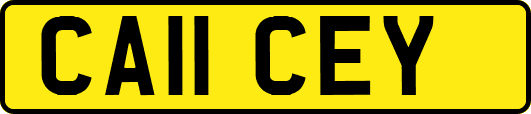 CA11CEY
