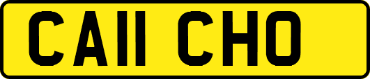 CA11CHO