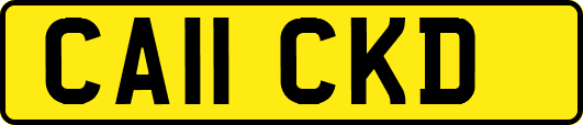 CA11CKD