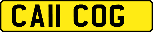 CA11COG