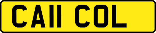 CA11COL