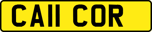 CA11COR