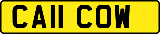 CA11COW