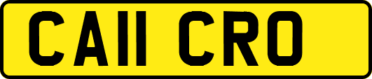 CA11CRO