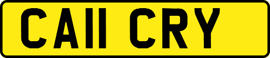 CA11CRY