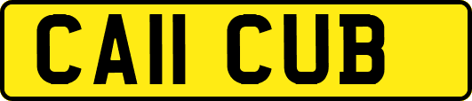 CA11CUB