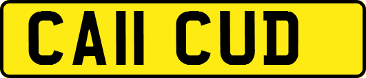 CA11CUD