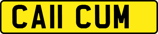 CA11CUM