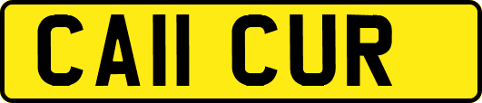 CA11CUR